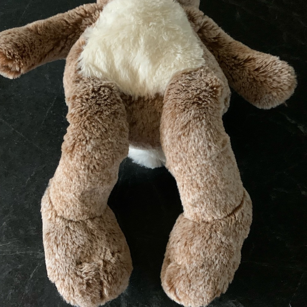 DAN DEE  | Peter Rabbit Stuffed Plush Bunny Rabbit - Picture 6 of 6